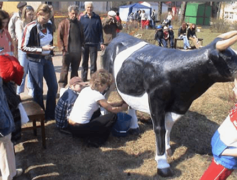 Karvutė - nuotrauka 5